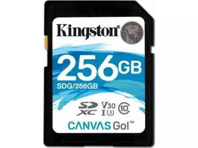 Карта памяти Kingston SDG 256GB