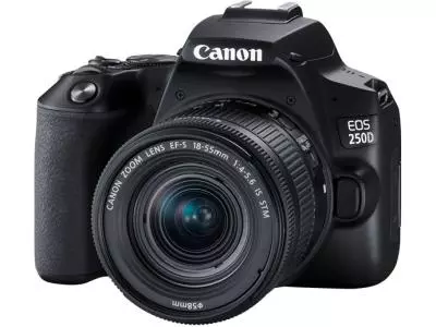 Фотокамера Canon EOS 250D EF-S 18-55 IS STM Kit черный