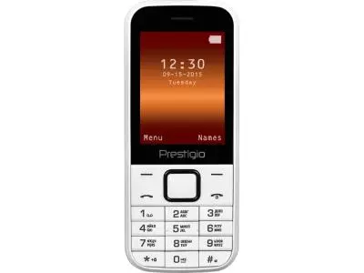Мобильный телефон Prestigio Wize G1 белый